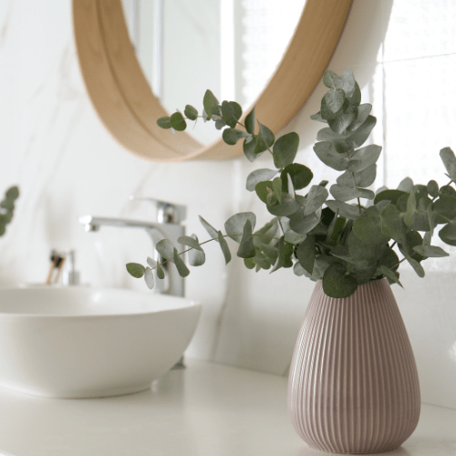 eucalyptus plant in de badkamer