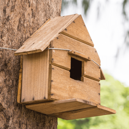 vogelhuisje leeghalen