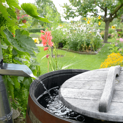 regenton aan zinken regenpijp