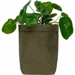 QUVIO Plantenzak - Bloempot voor binnen - Plantenbak - Tuinieren - Bloemen - Plantenpot - Planten houder - Milieuvriendelijk - Kraftpapier - 10 x 10 x 20 cm (lxbxh) - Donkergroen