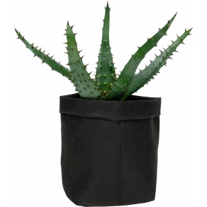 QUVIO Plantenzak - Bloempot voor binnen - Plantenbak - Tuinieren - Bloemen - Plantenpot - Planten houder - Milieuvriendelijk - Kraftpapier - 7.5 x 7.5 x 15 cm (lxbxh) - Zwart