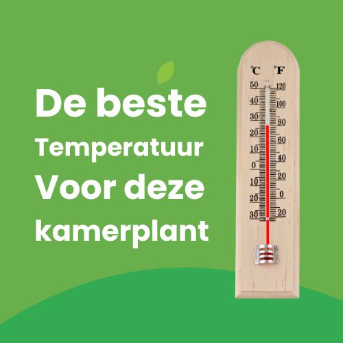 temperatuur voor je plant