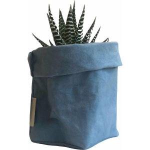 de Zaktus - Haworthia Big Band - vetplant - paper bag licht blauw - Maat M