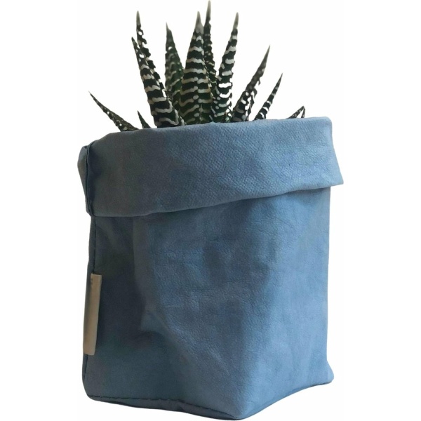 de Zaktus - Haworthia Big Band - vetplant - paper bag licht blauw - Maat M