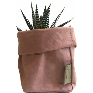 de Zaktus - Haworthia big band - cactus - paper bag roze - maat M