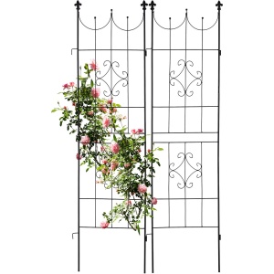 Relaxdays klimrek planten set van 2 - 183 x 46 cm - ijzer - vrijstaand - zwart